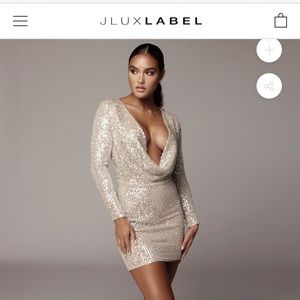 Silver sequin Bradshaw mini dress